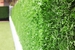 Gard verde din oțel Grass Fence 150cm*10m
