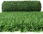 Gard verde din oțel Grass Fence 150cm*10m