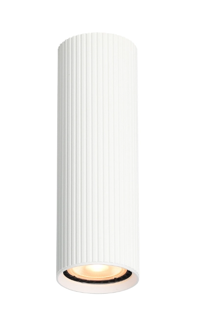 Спот Tk Lighting TUNE WHITE M 1 GU10 10025