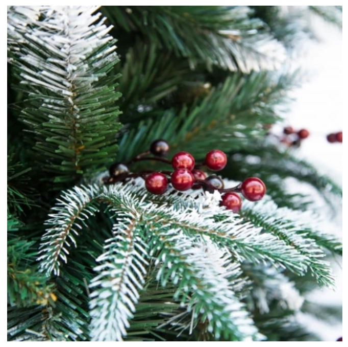 Brad Mixt QC151 1.80 m  