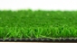 Iarbă artificială Grass 4mm