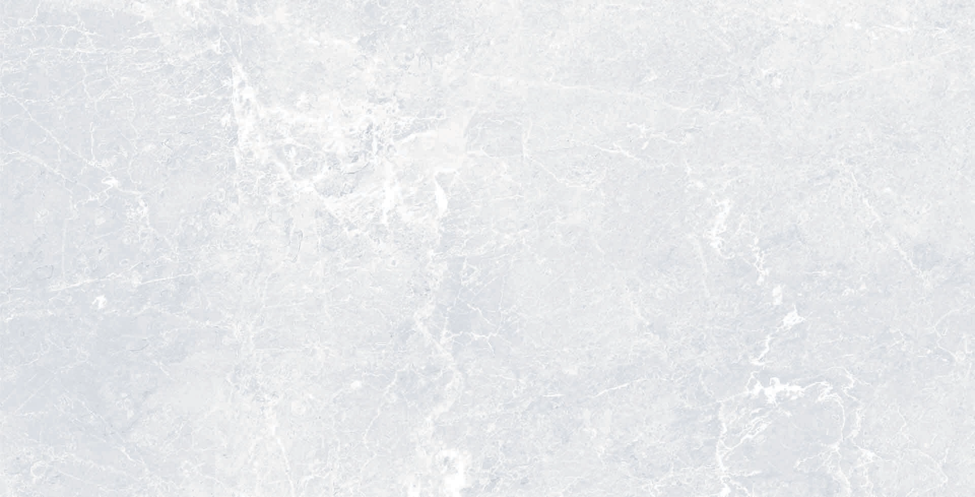 Gresie Altin Cini Seramik New Monza 60x120 white