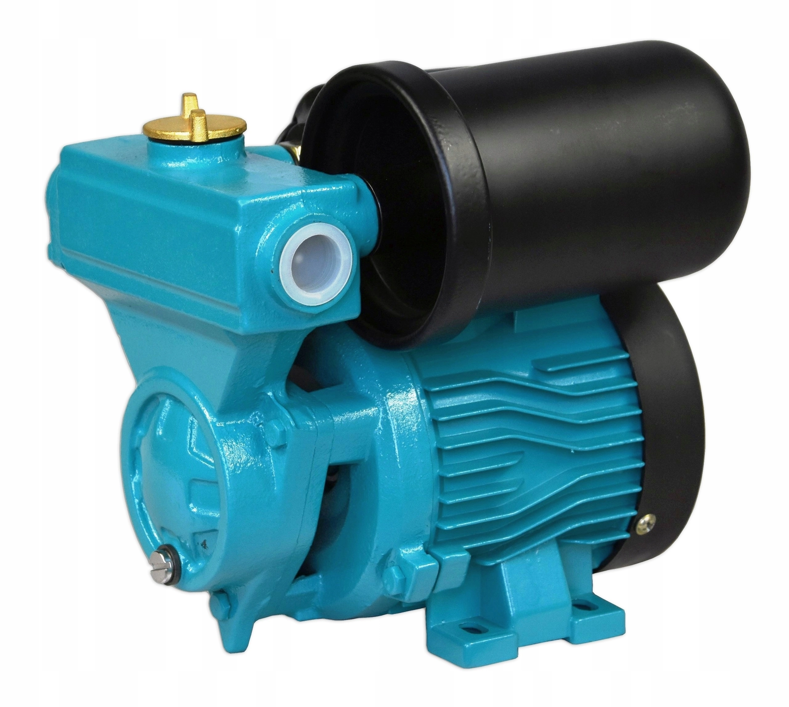 Гидрофор WZCH 100 1л