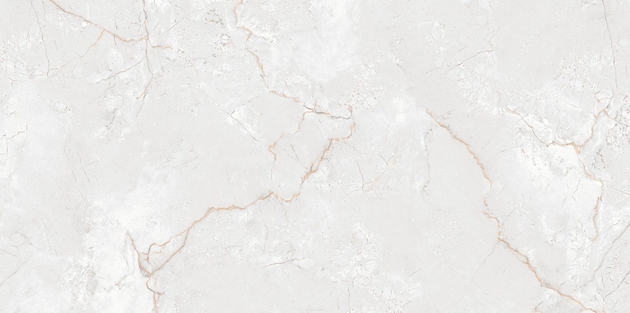 Gresie Asel Anka 60*120 White polished