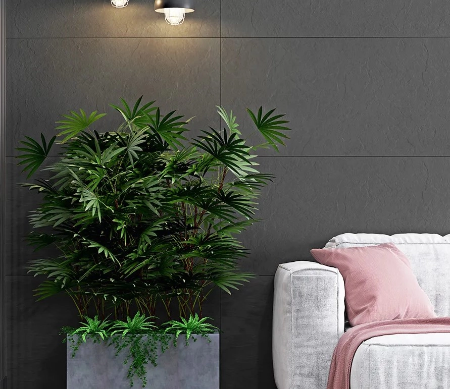 Gresie Crag 60x120 Antracite