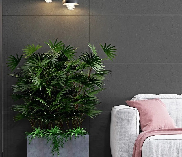 Gresie Crag 60*120 Antracite