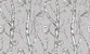 Tapete HC71534-14/8П