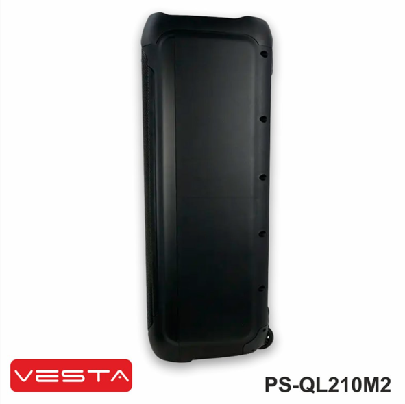 Колонка Vesta PS-QL210M2 + два микрофона