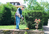 Motocositoare electrica Stihl FSE71