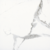 Gresie Bien Maxi 60x60 white