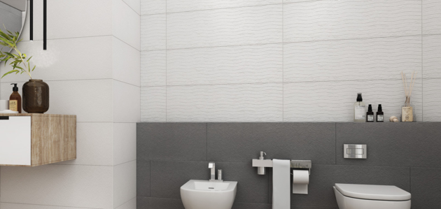 Faianță Fair 30*90 Gris Decofon