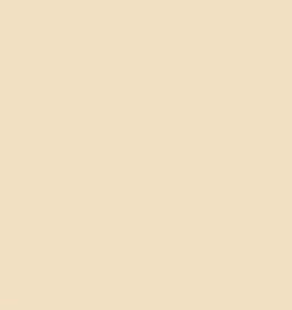 Chit Baumit Baumicol Silikon 310ml camel