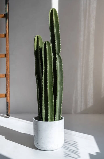 Горшок Charlie