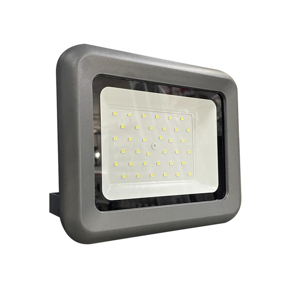 Proiector Led E0015EI 30W 6500K IP65/0070059 