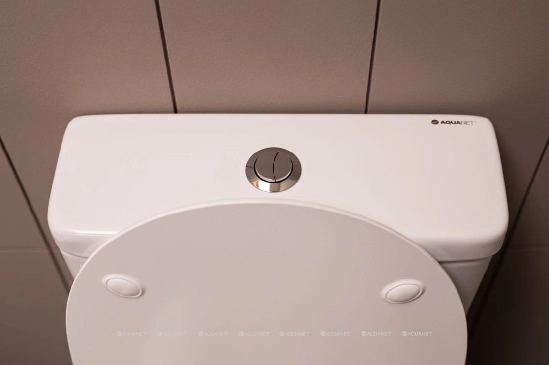 Vas WC Aquanet BL-102N -TPT 