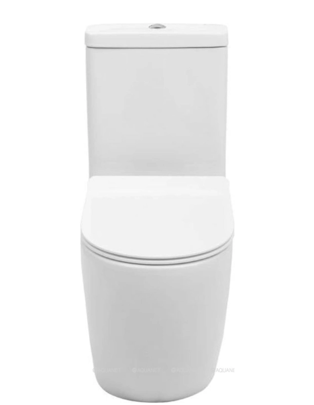 Vas WC Aquanet BL-102N -TPT 