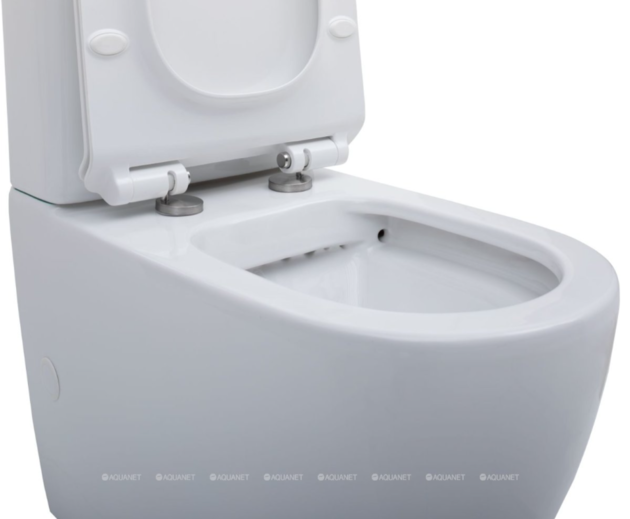 Vas WC Aquanet BL-102N -TPT 