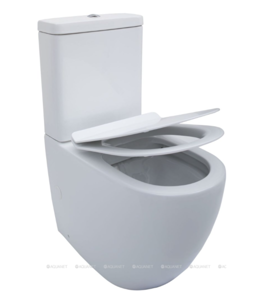 Vas WC Aquanet BL-102N -TPT 