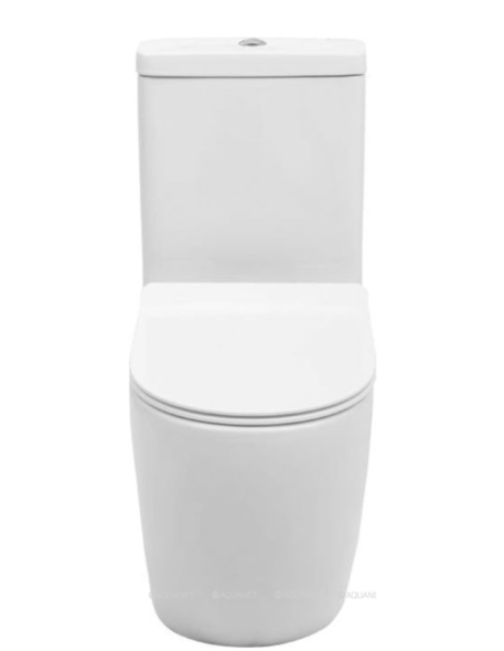 Vas WC Aquanet BL-102N -TPT 