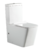 Vas WC Aquanet BL-103N -TPT