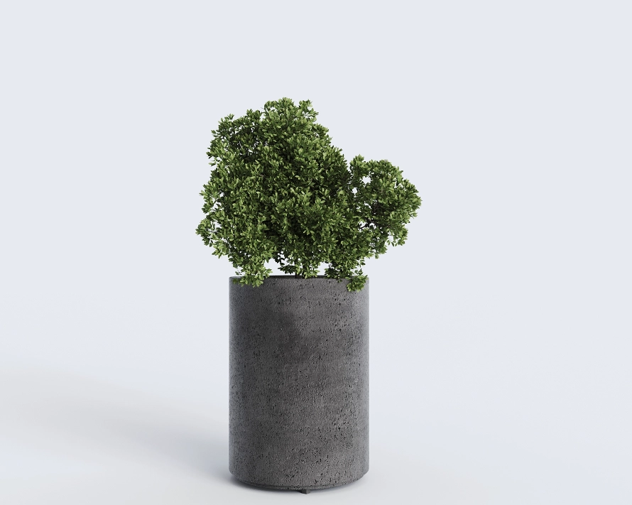 Горшок из бетона Cilindru D500мм x H500мм антрацит