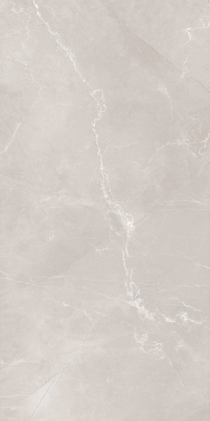 Плитка Alient Vanish 80x160 grey matt
