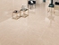 Gresie Anka Pulpis 60x120 Cream