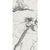Плитка Newport 60x120