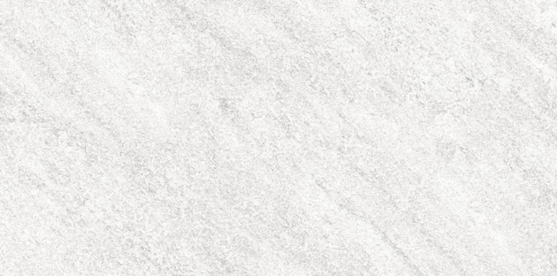 Плитка Izida Forum 303x606 light grey