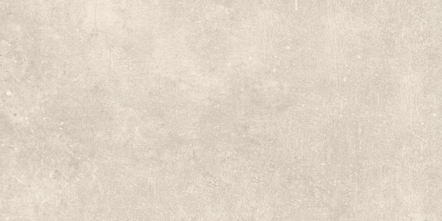 Плитка Anka Cement 30x60 bone