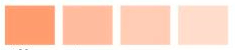 Pigment Concentrat Colortone caramel MGF-23