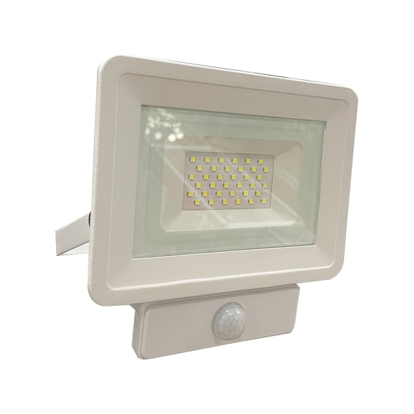 Proiector Led E023EIS 30W 6500K IP65/0070064