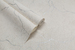 Tapete TC71789-12/8 