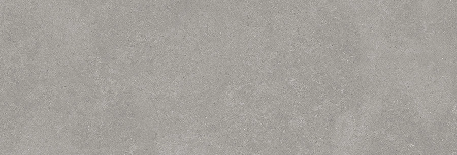 Faianță Bien Grand 40x120 Ash