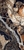 Плитка Ignate 60*120 natural