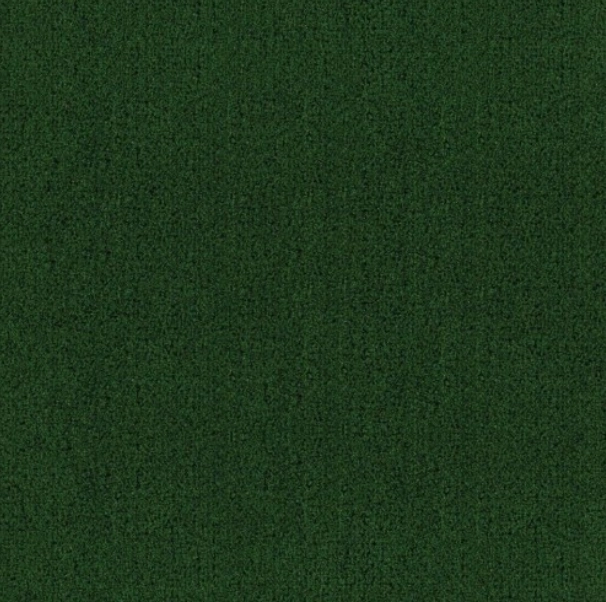 Greenfield TPP53 4.0