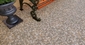 Gresie Murat Cersanit 42х42