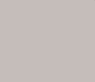 Pigment concentrat FOX (08 Ciocolata) 40ml