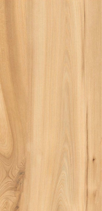 Gresie Blizzbee Henry Beige Matt 60x120