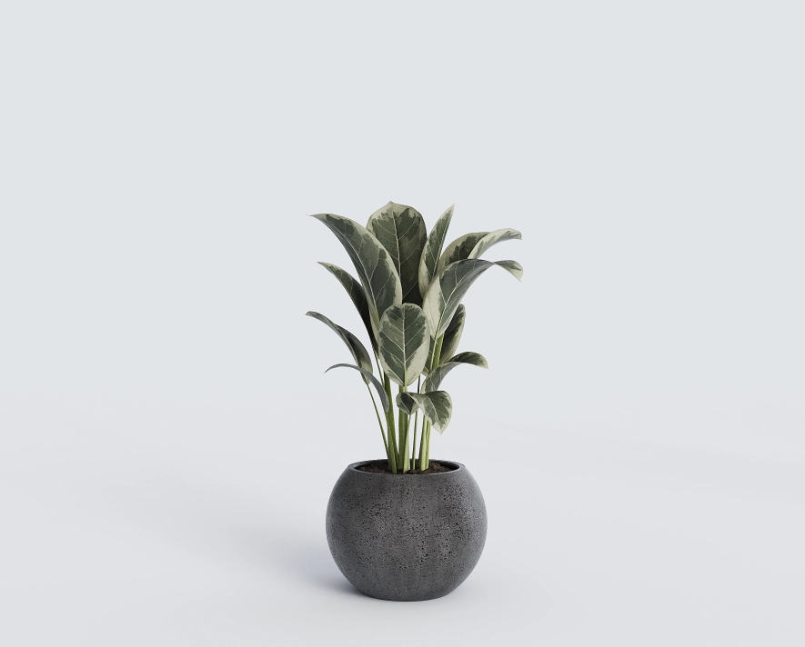 Горшок из бетона Luno D300мм антрацит