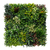  Acoperire decorativă C greenery 100x100 m 18184 