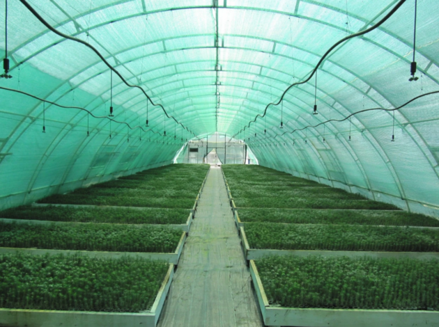Plasă de umbrire 40%  4m