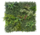 Acoperire decorativă D greenery 100x100 cm 18060