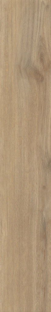 Gresie Graniser Seramik Joywood day 20x120 B3