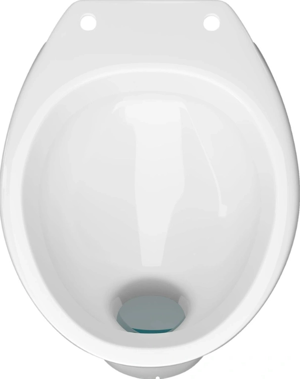 Vas WC Kermin  Inclusion 1c 