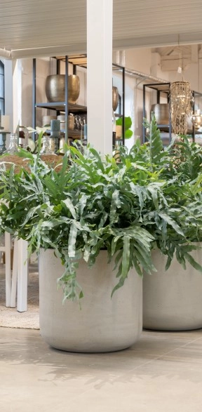 Бетонный горшок Jumbo Charlie M Antracit 