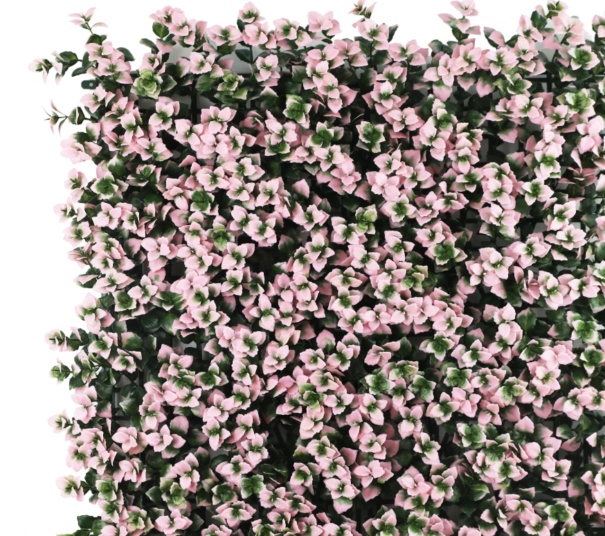 Декоративное покрытие LP Pachysanfra pink 50x50 см 17676