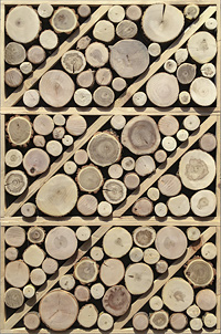 Panel decorativ din lemn Lisova Kazka-2 