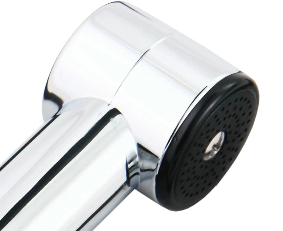 Душевая лейка Rubineta 622001 