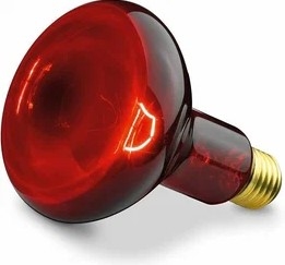 Bec infraroșu IKZK-250 Wt 03742/4432 